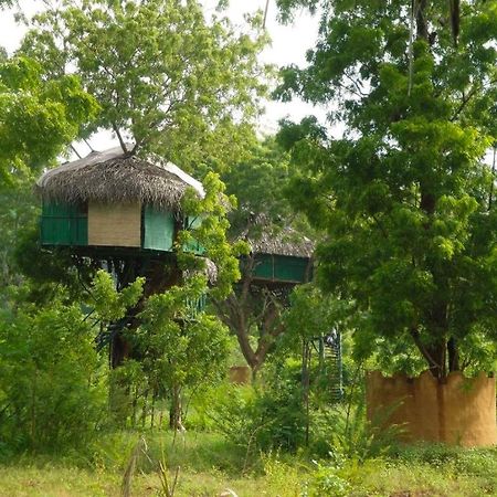 Yala Beddegama Eco Hotel Kataragama Bagian luar foto