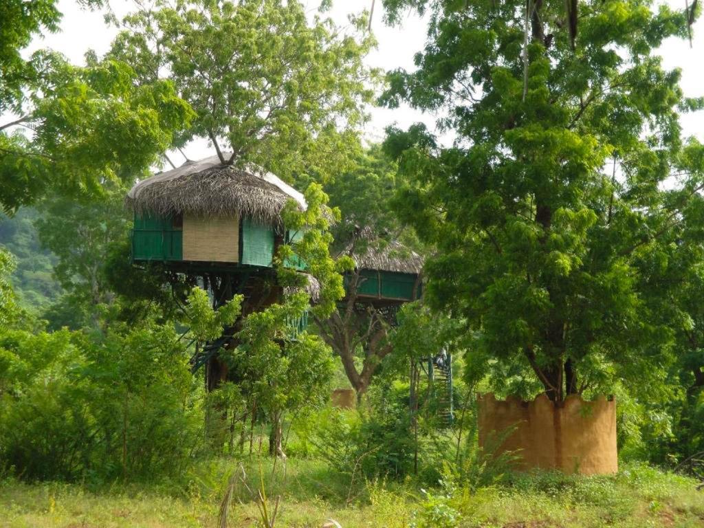 Yala Beddegama Eco Hotel Kataragama Bagian luar foto