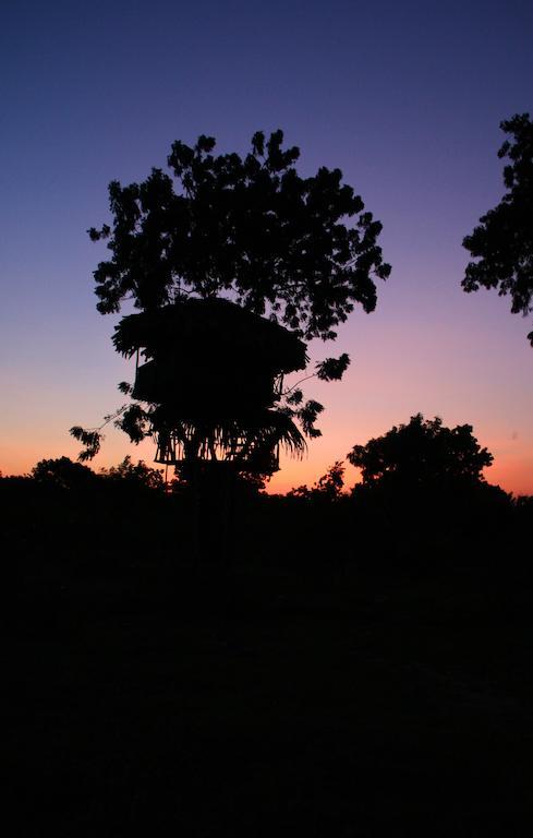 Yala Beddegama Eco Hotel Kataragama Bagian luar foto