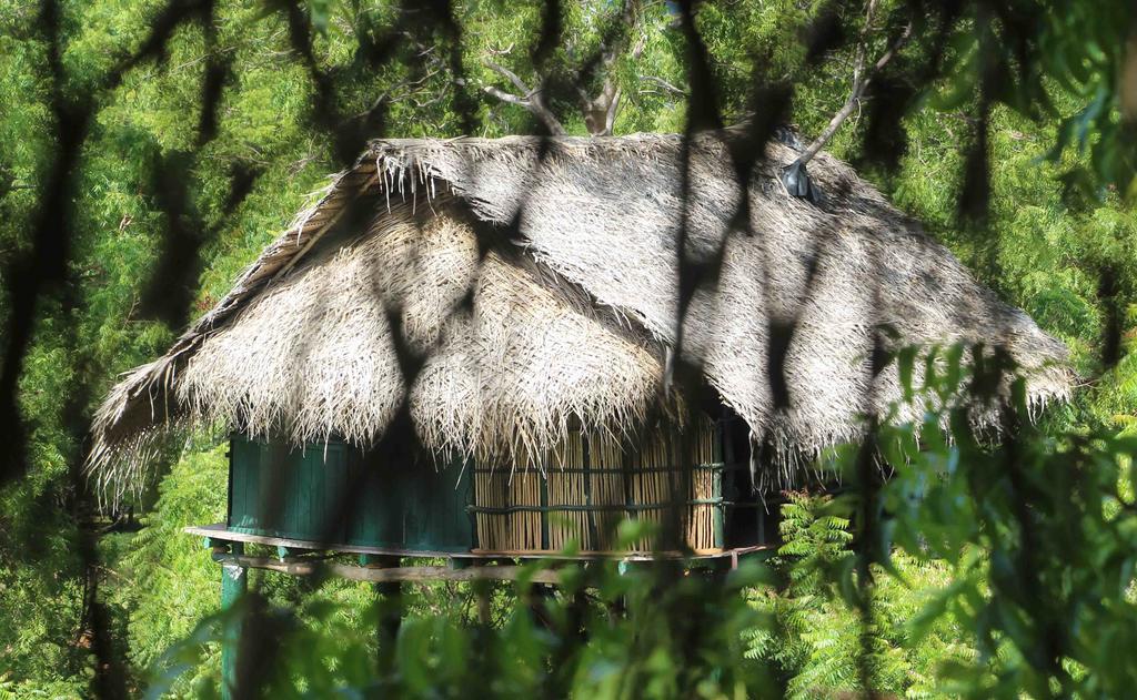Yala Beddegama Eco Hotel Kataragama Bagian luar foto