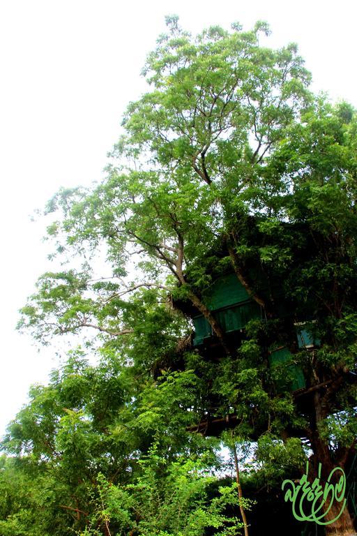 Yala Beddegama Eco Hotel Kataragama Bagian luar foto