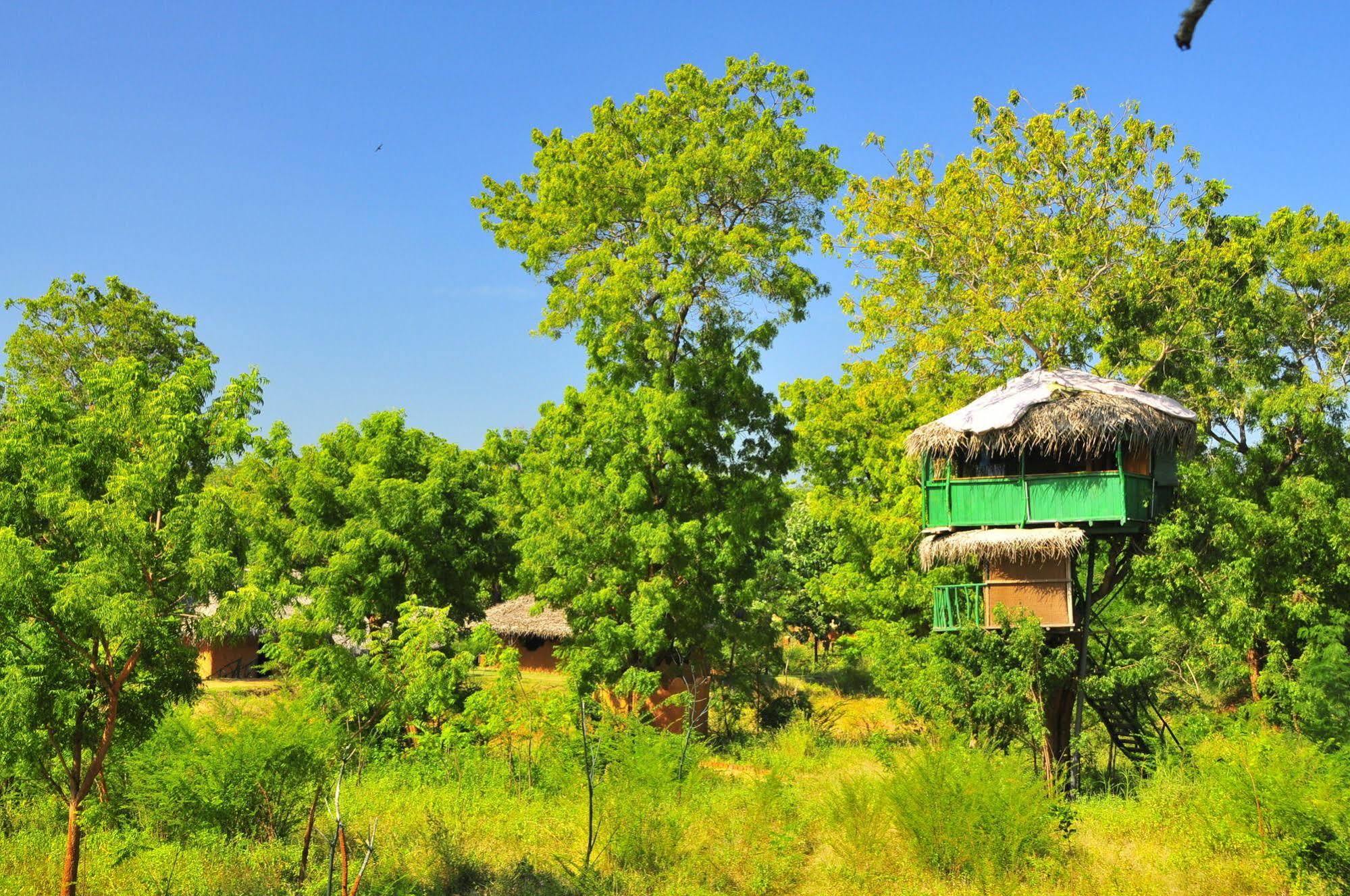 Yala Beddegama Eco Hotel Kataragama Bagian luar foto