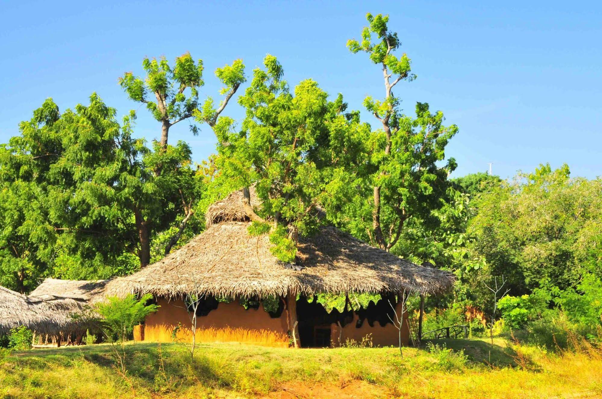 Yala Beddegama Eco Hotel Kataragama Bagian luar foto